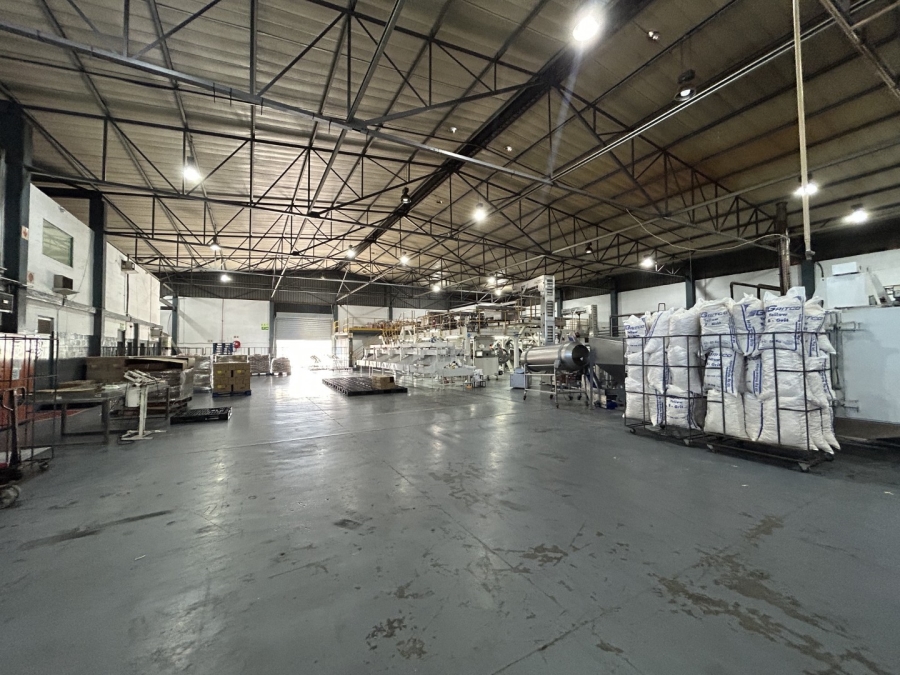 To Let commercial Property for Rent in Epping Industrial Western Cape